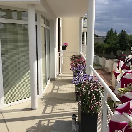 Luxury In *